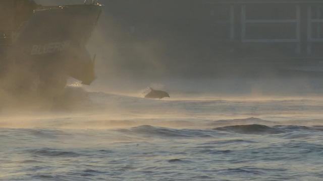 İstanbul Boğazı'nda ilginç görüntüler: Denize neler oluyor? Kaynıyor gibi!