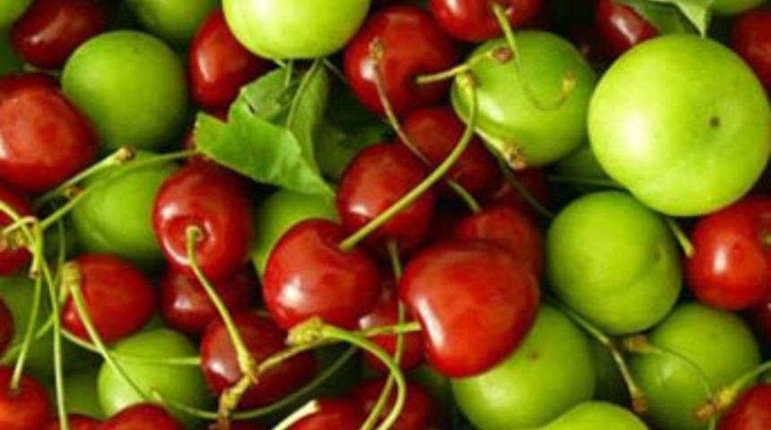 1 kilo kiraz +1 kilo erik = 1 aylık ev kirası