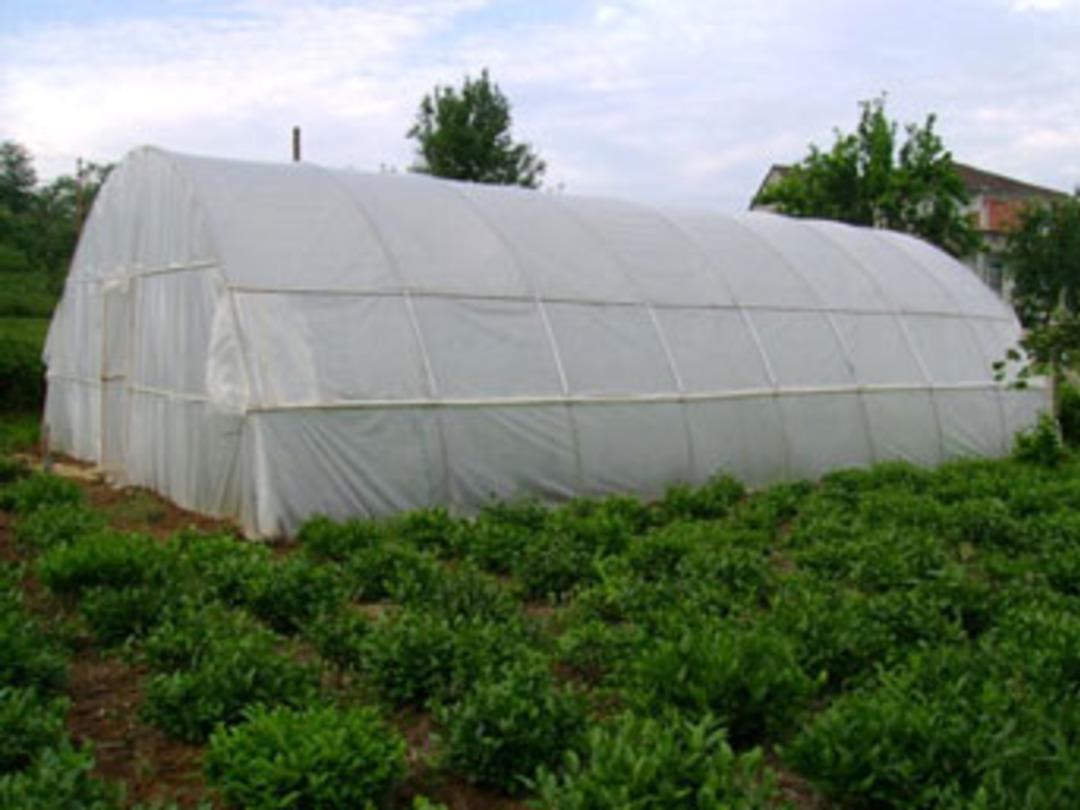 &Ouml;rt&uuml;altında bol kazan&ccedil; var, bulmasını bilene