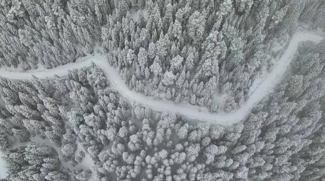 Karla kaplanan Ilgaz Dağı havadan g&ouml;r&uuml;nt&uuml;lendi 1