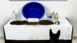 Çankırı’da uyuşturucu operasyonu: 1 gözaltı