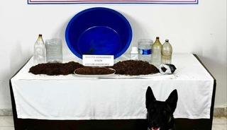 &Ccedil;ankırı&rsquo;da uyuşturucu operasyonu: 1 g&ouml;zaltı