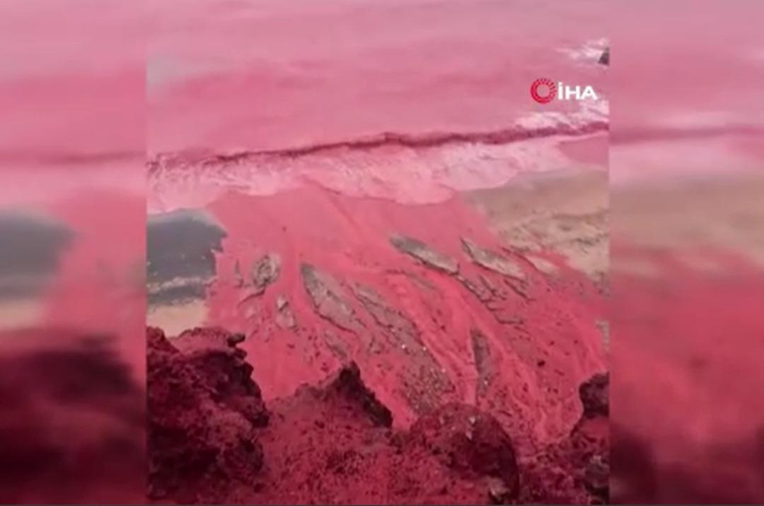 Deniz suyunun rengi yağışın ardından kızıla döndü 2