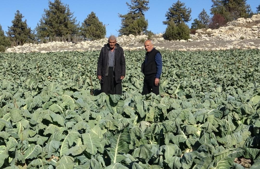 Yer: Mersin! Davranışıyla g&uuml;ndem oldu, akşam kendisini haberlerde g&ouml;r&uuml;nce şaşırdı: "Yine aynı yaptığımı yapardım" 1
