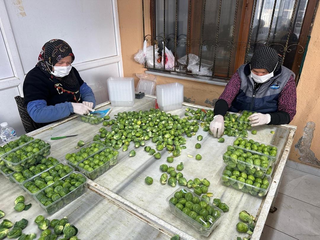 Fiyatlar bir ay içinde düştü Çok yüksek bir toplama maliyeti var 1