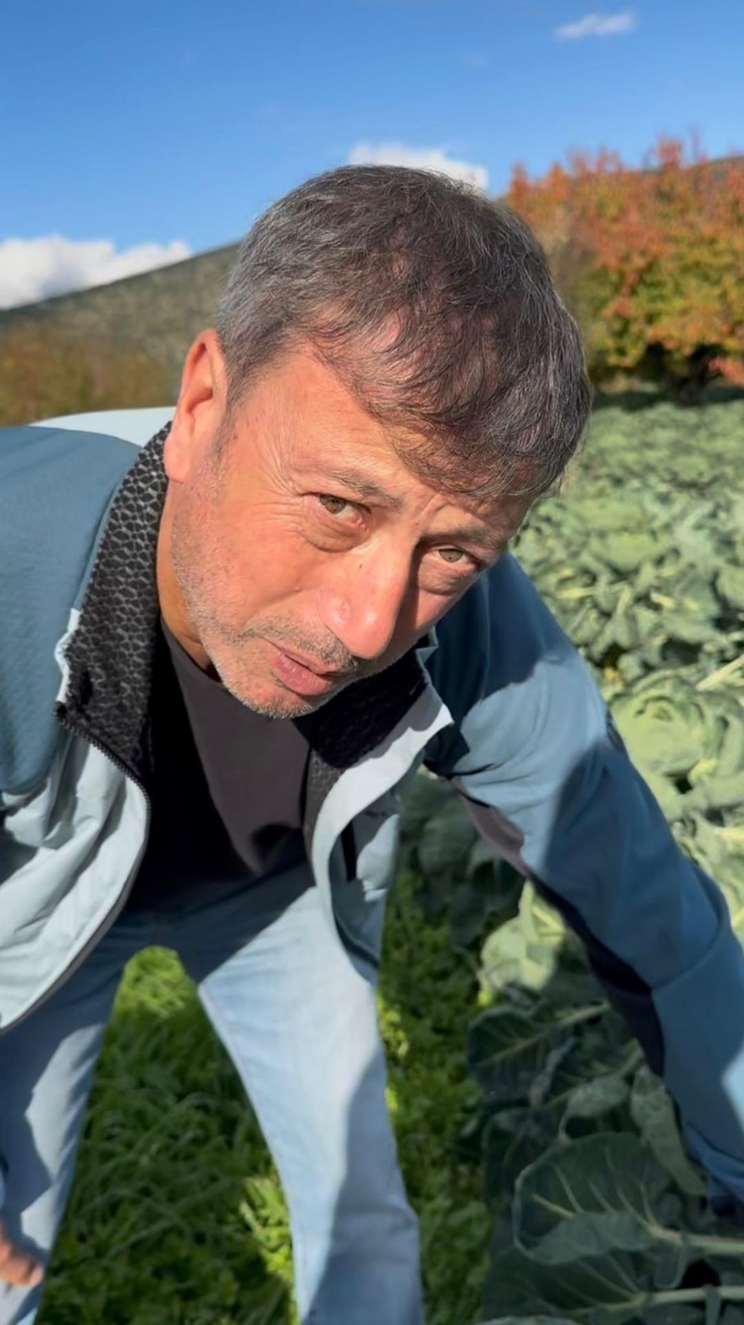 Fiyatlar bir ay içinde düştü Çok yüksek bir toplama maliyeti var 4