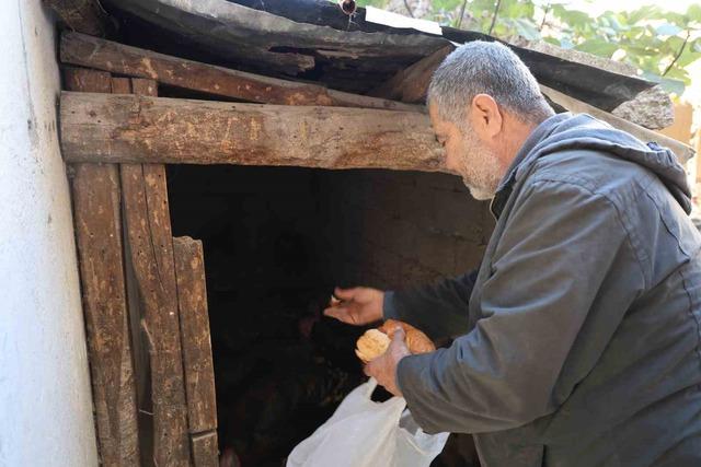 Adana’da ilginç görüntü: Hindiler çarşıda gezdirilerek satılıyor 4
