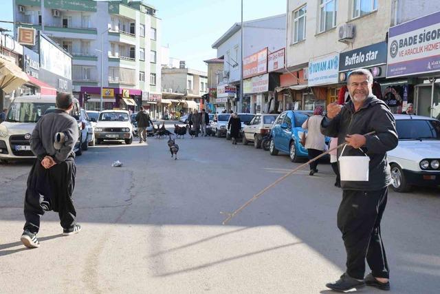 Adana’da ilginç görüntü: Hindiler çarşıda gezdirilerek satılıyor 1