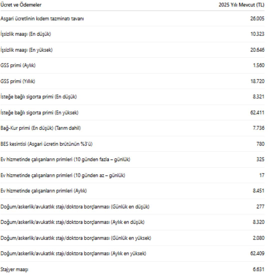2026 ya bırakan yandı: Asgari &uuml;cret sonrası sil baştan değişecek! 5