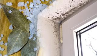 Evde nem sorununa 2 doğal y&ouml;ntem