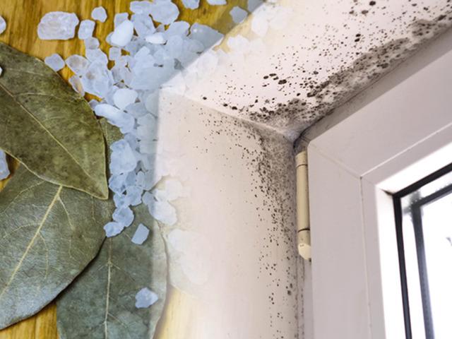 Evde nem sorununa 2 doğal y&ouml;ntem