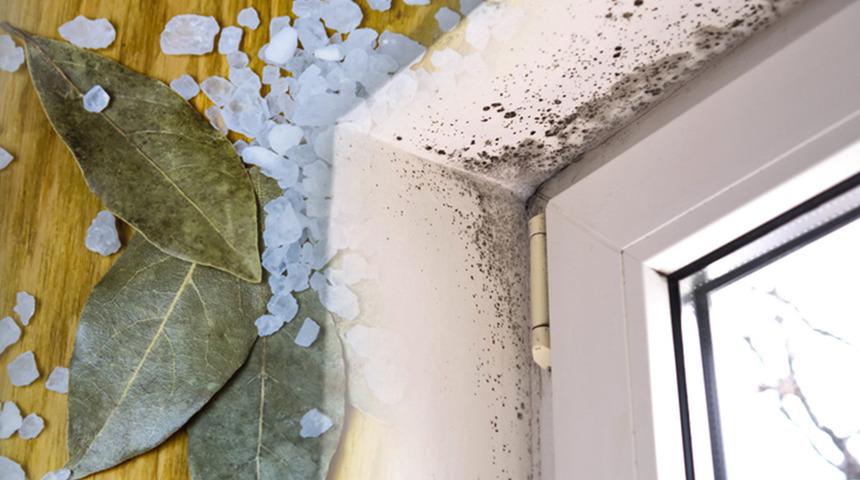 Evde nem ve k&uuml;f sorununa ekonomik 2 doğal y&ouml;ntem 