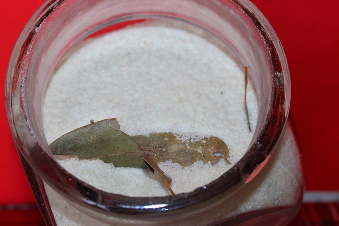 Evde nem ve küf sorununa ekonomik 2 doğal yöntem 3