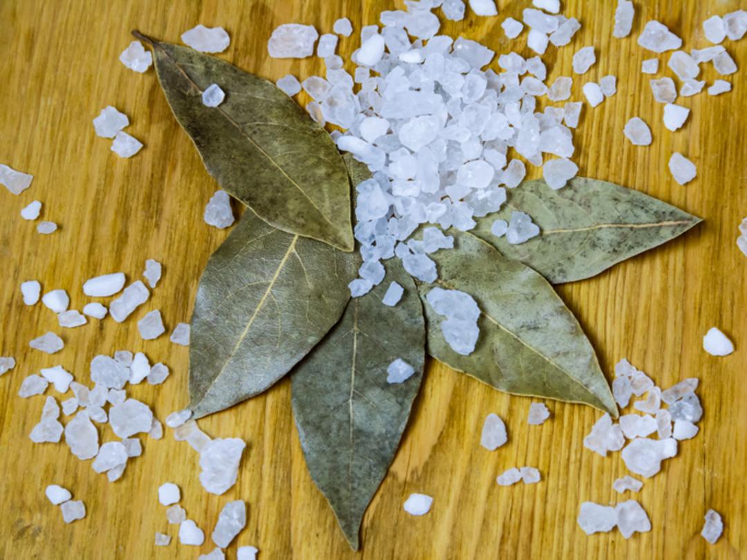 Evde nem ve küf sorununa ekonomik 2 doğal yöntem 5