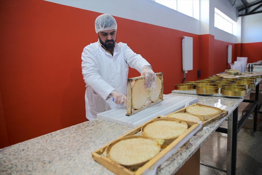 Devlet desteği ile kurdu! Dubai ye 16 ,5 tonluk ihracat yaptı 4