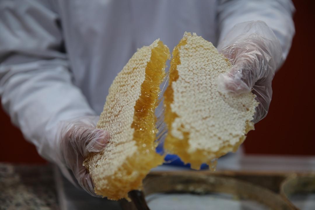 Devlet desteği ile kurdu! Dubai ye 16 ,5 tonluk ihracat yaptı 2