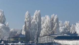 Ardahan'ın G&ouml;le il&ccedil;esi, eksi 20'yi g&ouml;rd&uuml;; ağa&ccedil;lar kırağı tuttu