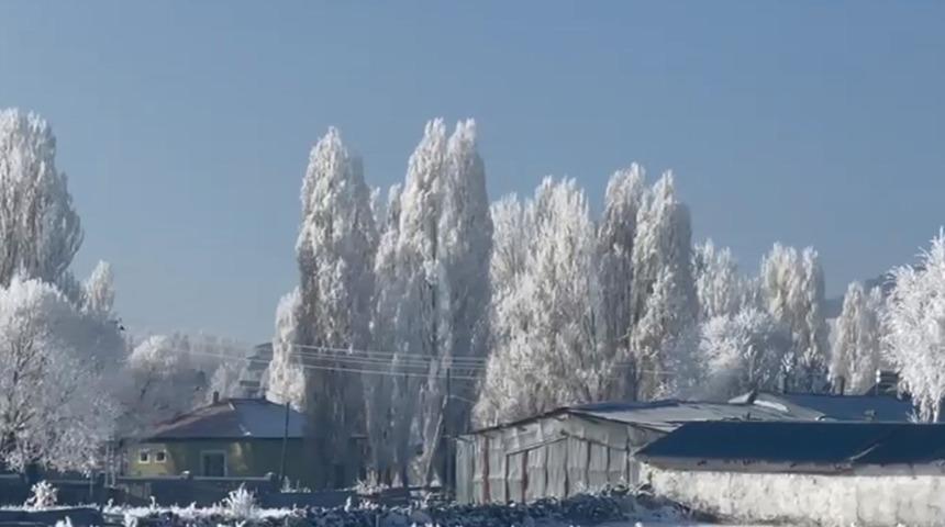 Ardahan'ın G&ouml;le il&ccedil;esi, eksi 20'yi g&ouml;rd&uuml;; ağa&ccedil;lar kırağı tuttu