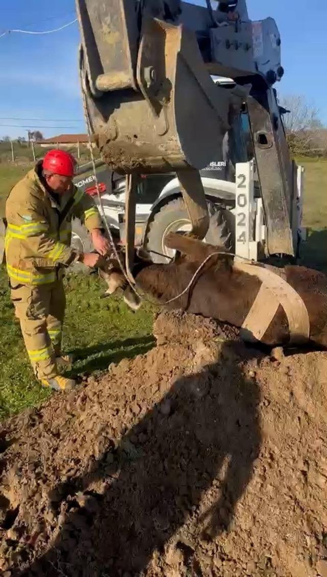 Balıkesir’de kuyuya düşen inek kurtarıldı 2
