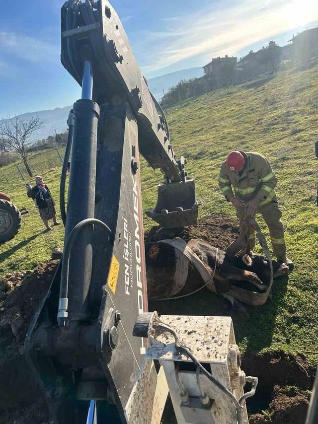 Balıkesir’de kuyuya düşen inek kurtarıldı 1