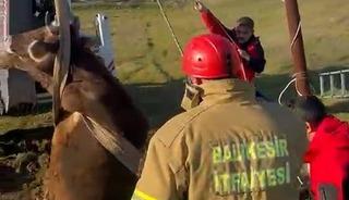 Balıkesir&rsquo;de kuyuya d&uuml;şen inek kurtarıldı