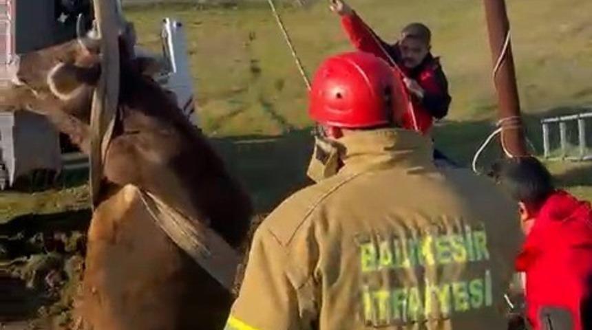 Balıkesir&rsquo;de kuyuya d&uuml;şen inek kurtarıldı