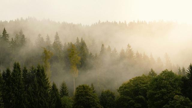 Meteoroloji'den g&ouml;r&uuml;ş mesafesi uyarısı: Sis ve buzlanmaya dikkat!