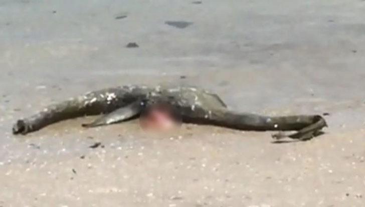 Oltasına takılanı görünce hayrete düştü G3