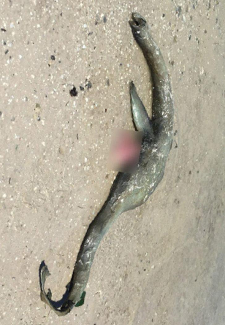 Oltasına takılanı görünce hayrete düştü G4