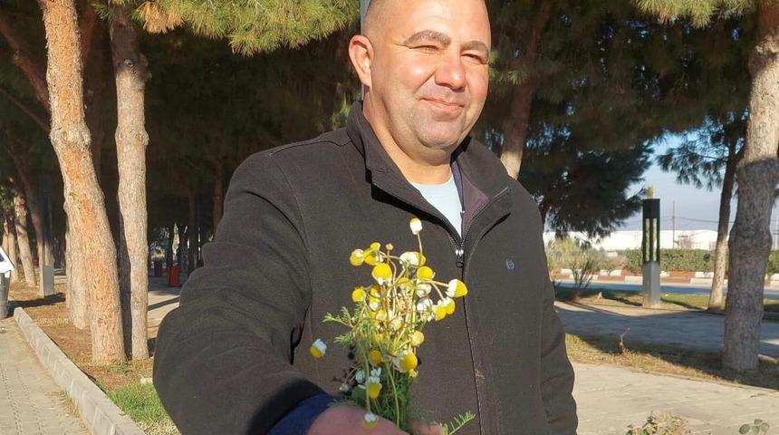 Sarıg&ouml;l&rsquo;de zemheri papatyaları a&ccedil;tı