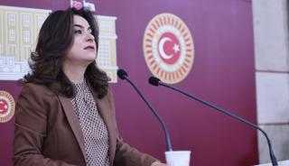 DEM Parti'nin "acil" isteğine h&uuml;k&uuml;metten yanıt