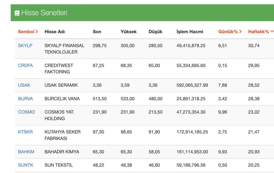 Borsa İstanbul da Haftanın En &Ccedil;ok Kazandıran Hisseleri Belli Oldu 1