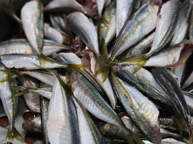 Havaların soğumasıyla birlikte balığa olan rağbet arttı!