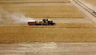 Tarımsal destekleme &ouml;demesi bug&uuml;n yapılacak!