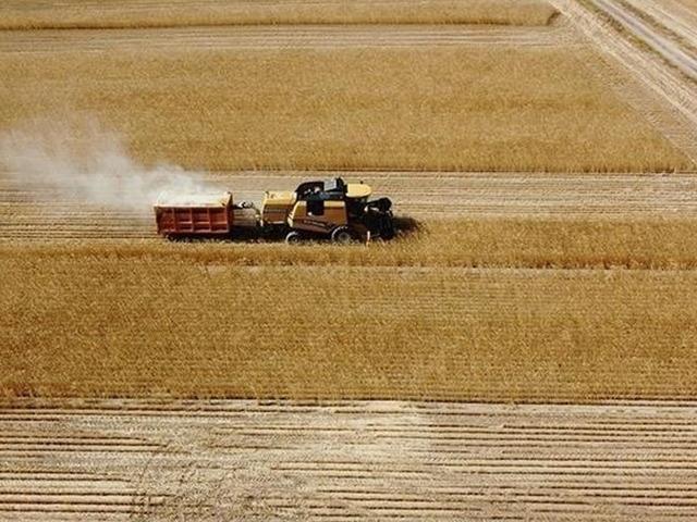 Tarımsal destekleme &ouml;demesi bug&uuml;n yapılacak!