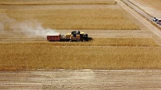 Tarımsal destekleme ödemesi bugün yapılacak!