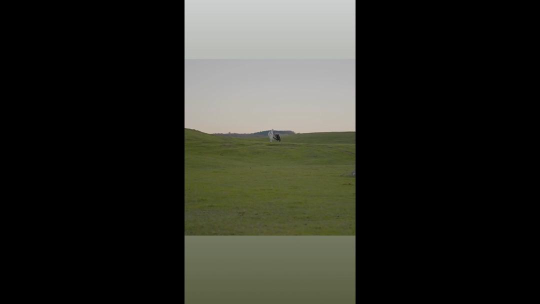 HABER.00_00_09_54.Still060