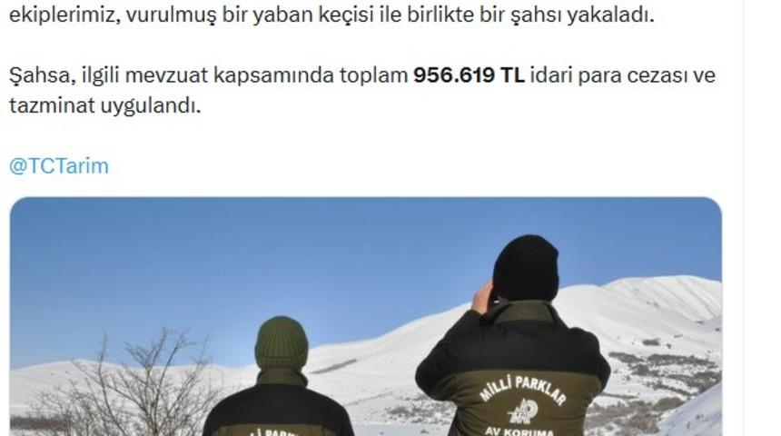 Yaban ke&ccedil;isi vuran avcıya 956 bin TL ceza