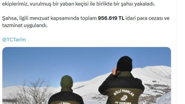 Yaban keçisi vuran avcıya 956 bin TL ceza