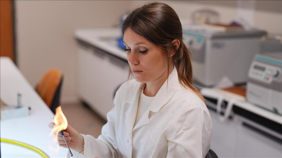 Kıyılar yapay zekaya emanet! T&uuml;rk bilim insanları kıyı tehlikelerini &ouml;nceden g&ouml;rebilecek 1