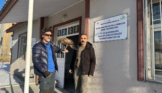 Aylar sonra geri d&ouml;nen kızıl şahini Doğa Koruma ekiplerine teslim etti