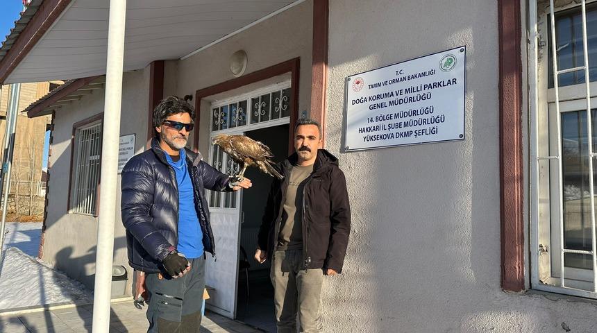 Aylar sonra geri d&ouml;nen kızıl şahini Doğa Koruma ekiplerine teslim etti