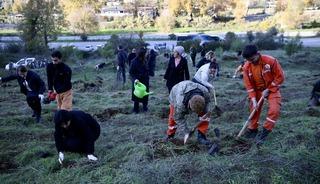 Fethiye'de 1000 fidan toprakla buluşturuldu