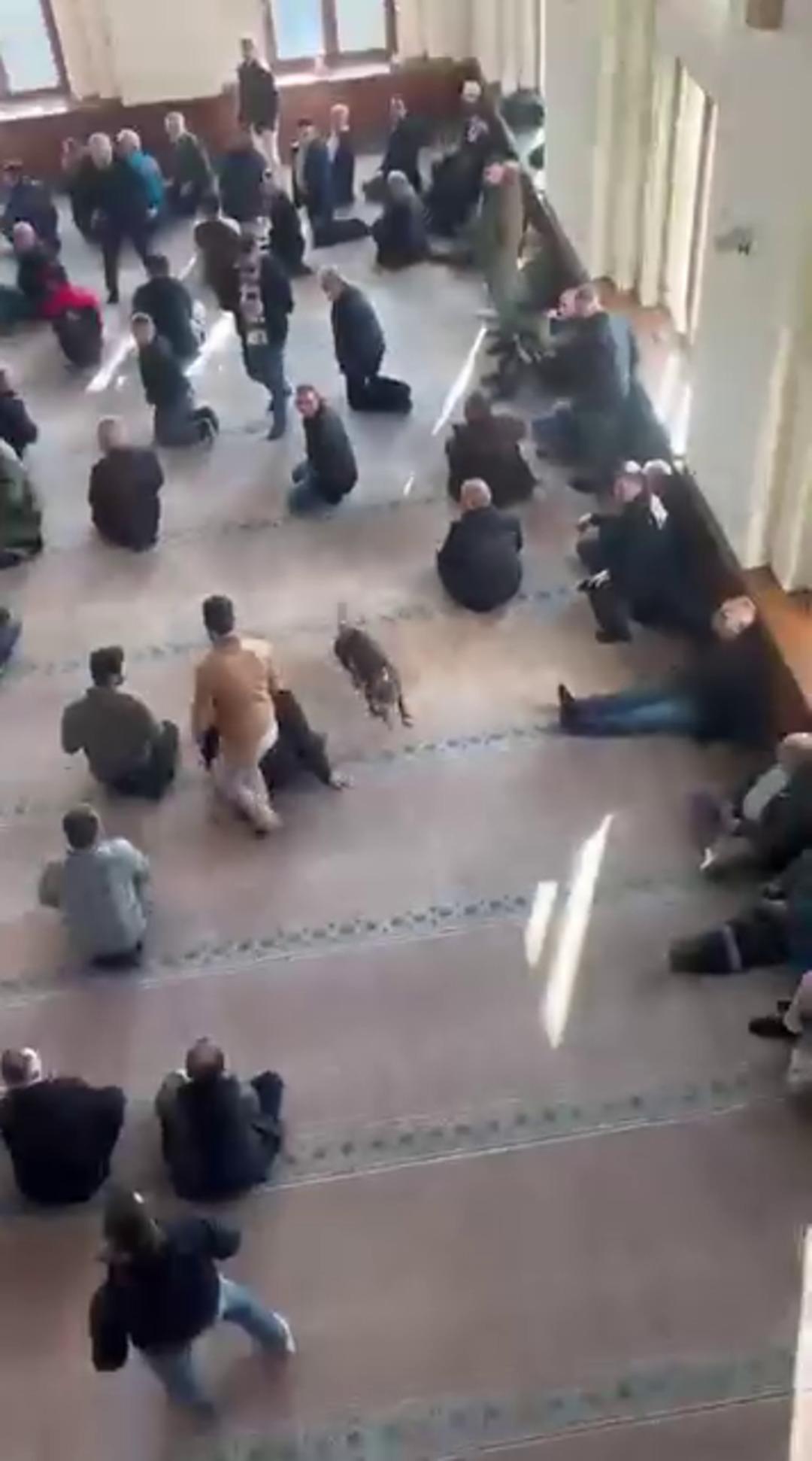 Cuma vaazında korku dolu anlar: Camiye pitbull girdi! 3