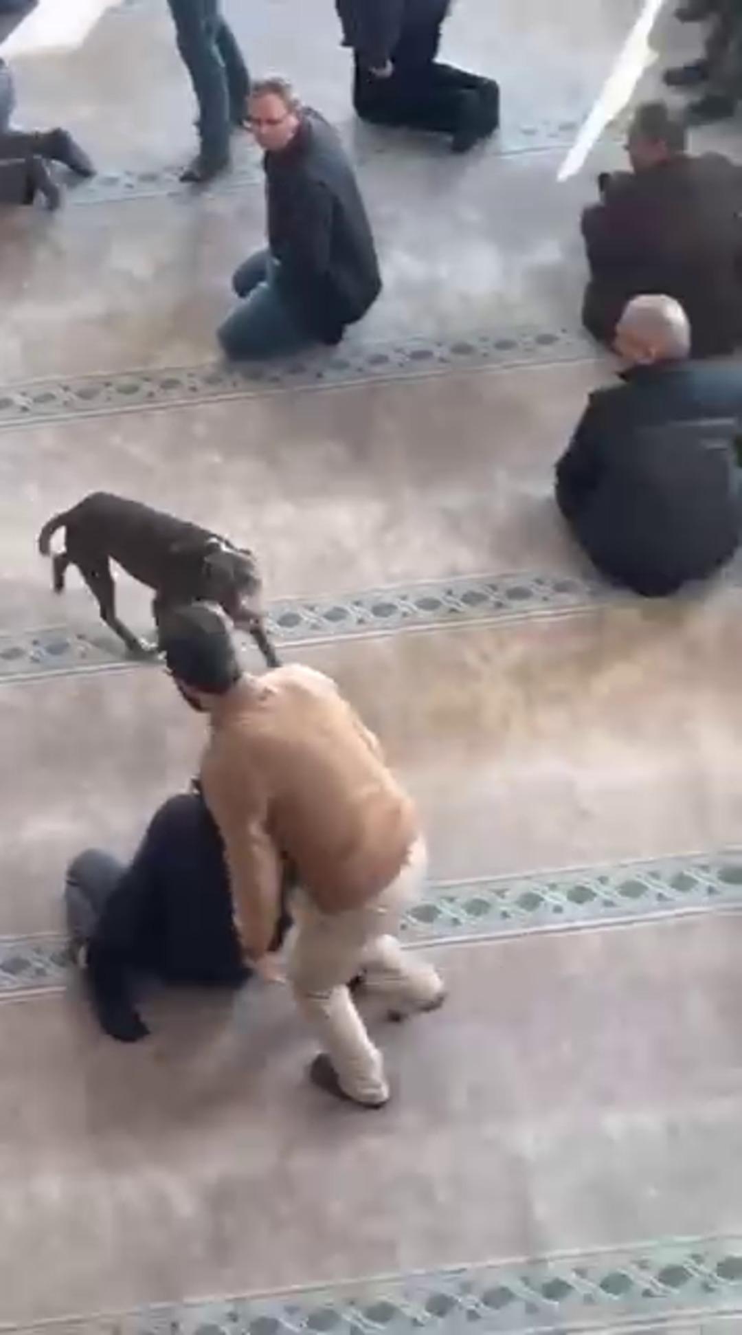 Cuma vaazında korku dolu anlar: Camiye pitbull girdi! 4