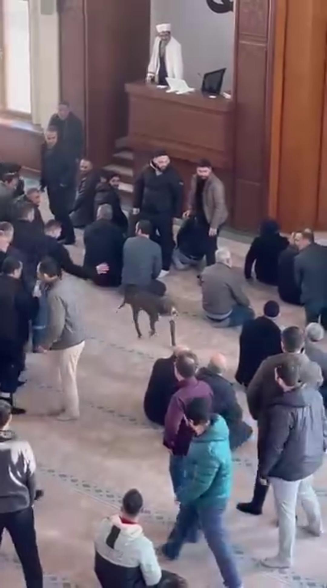 Cuma vaazında korku dolu anlar: Camiye pitbull girdi! 1