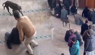 Cuma vaazında korku dolu anlar: Camiye pitbull girdi!