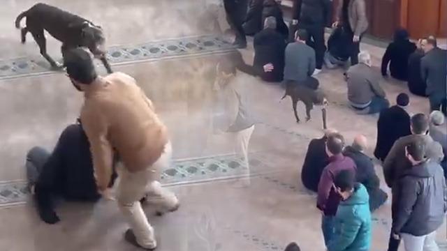 Cuma vaazında korku dolu anlar: Camiye pitbull girdi!