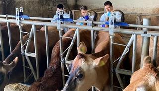 Kırklareli'nde b&uuml;y&uuml;kbaş hayvan işletmelerinde hastalıktan ari kontrolleri