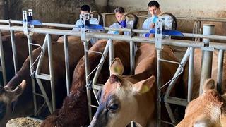 Kırklareli'nde büyükbaş hayvan işletmelerinde hastalıktan ari kontrolleri